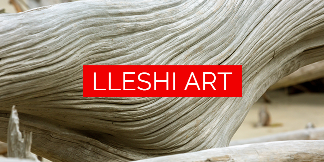 Lleshi Art